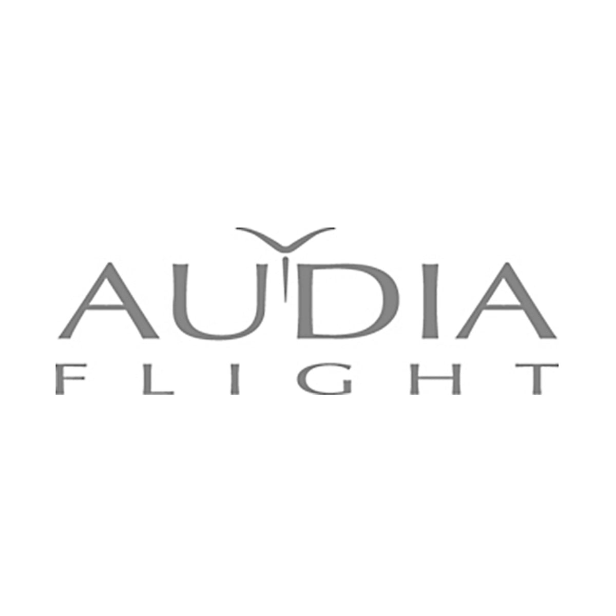 Audia Flight - Flight Phono Board
